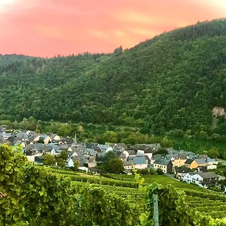 Weingut Dehren Hotel Ellenz-Poltersdorf