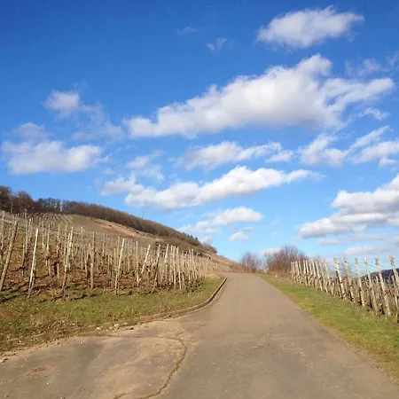 Weingut Dehren Szálloda Ellenz-Poltersdorf