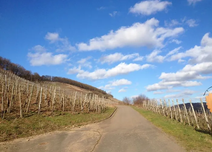 Weingut Dehren 엘렌츠폴터스도프