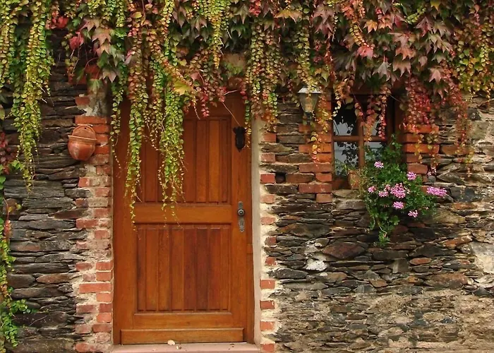 호텔 Weingut Dehren 3*