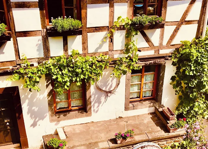 Weingut Dehren فندق إيلينز-بولتيرسدورف