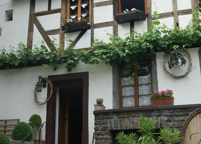 فندق Weingut Dehren 3*