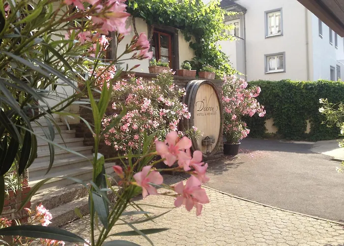 فندق Weingut Dehren إيلينز-بولتيرسدورف