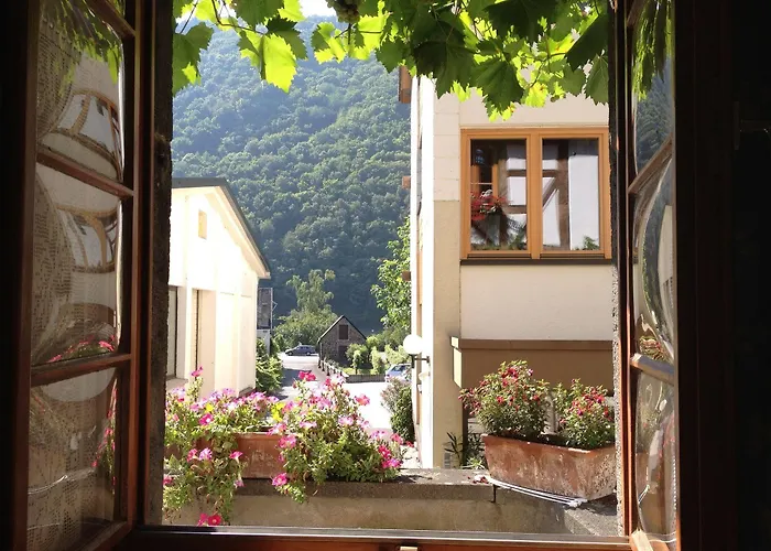 Weingut Dehren 호텔 3*