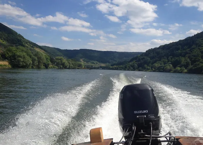 Weingut Dehren فندق 3*